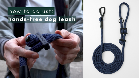 close up of rope keeper and product photo of hands-free dog leash in navy blue
