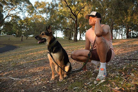Tiga the dog wearing a heavy duty dog collar, with a man using a hands-free dog leash at Westerfolds Park