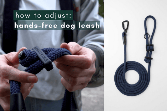 how to adjust handsfree dog leash