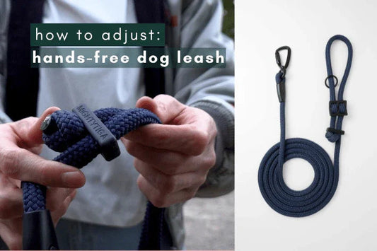 how to adjust handsfree dog leash