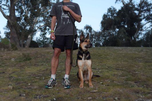 hands-free dog leash worn by owner across the chest