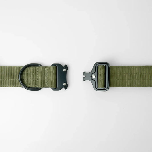 1.5 inch tactical collar - army green - close up of buckle and D-ring