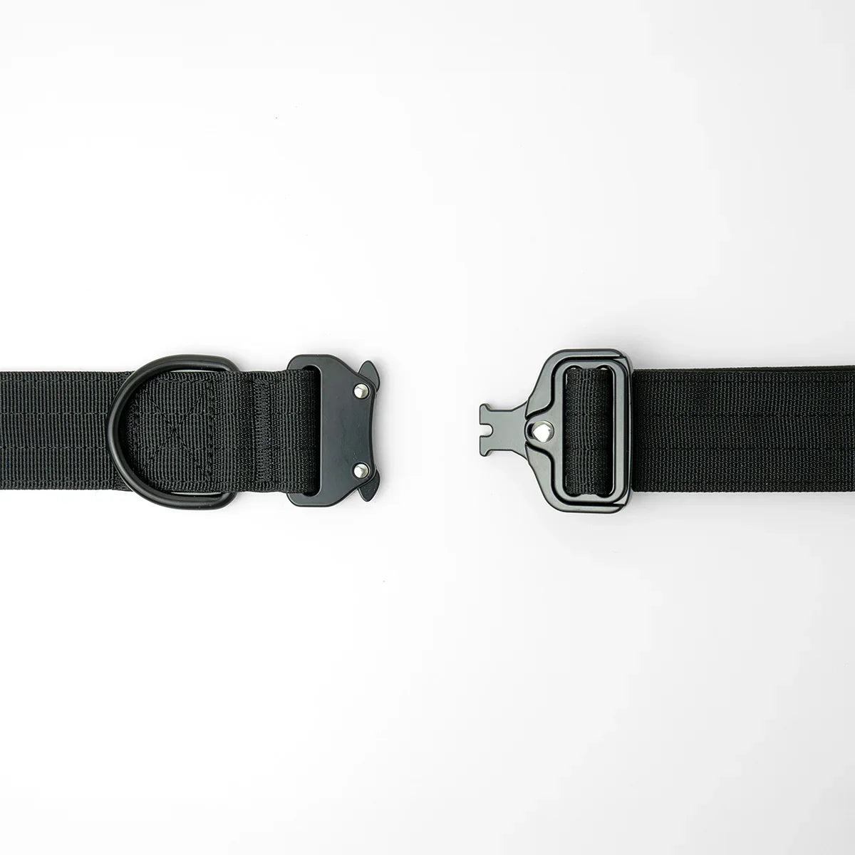 tactical 1.5 inch dog collar showing close up of D-ring and buckle