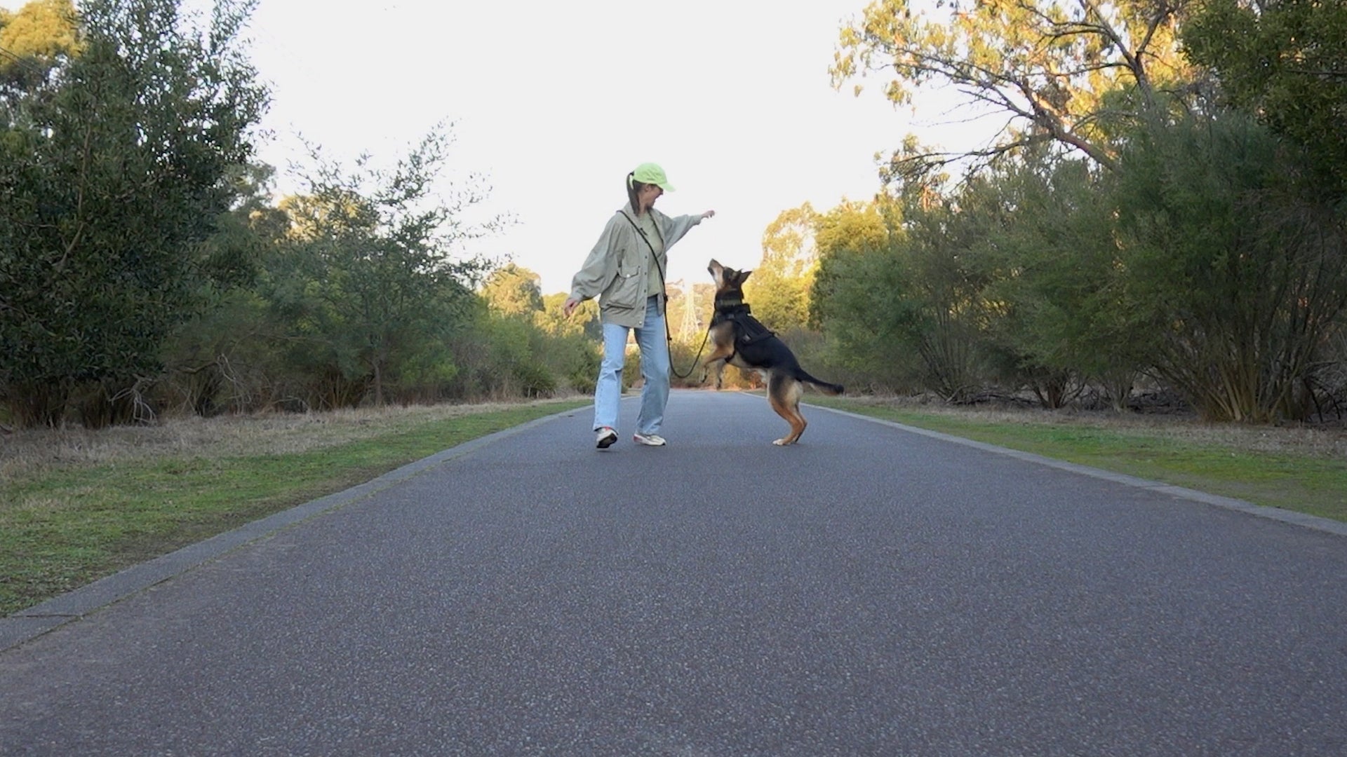 training dog in park with hands-free rope dog lead