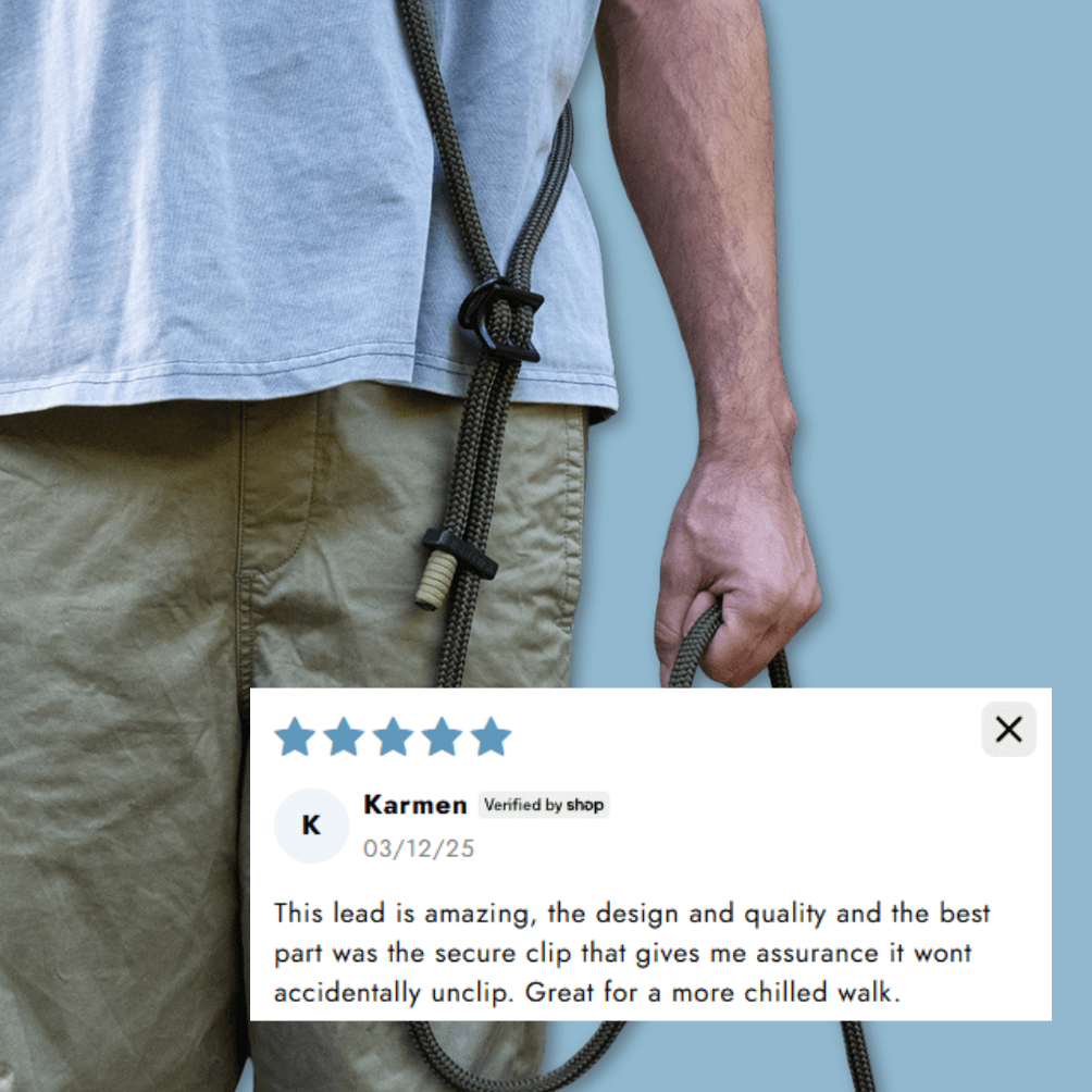 Hands-Free Dog Leash