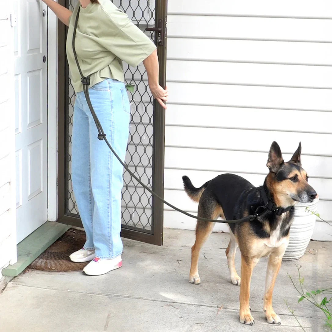 adjustable hands-free dog lead worn around the shoulders