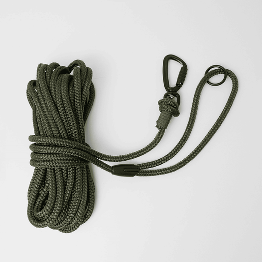 long dog lead coiled up on white background