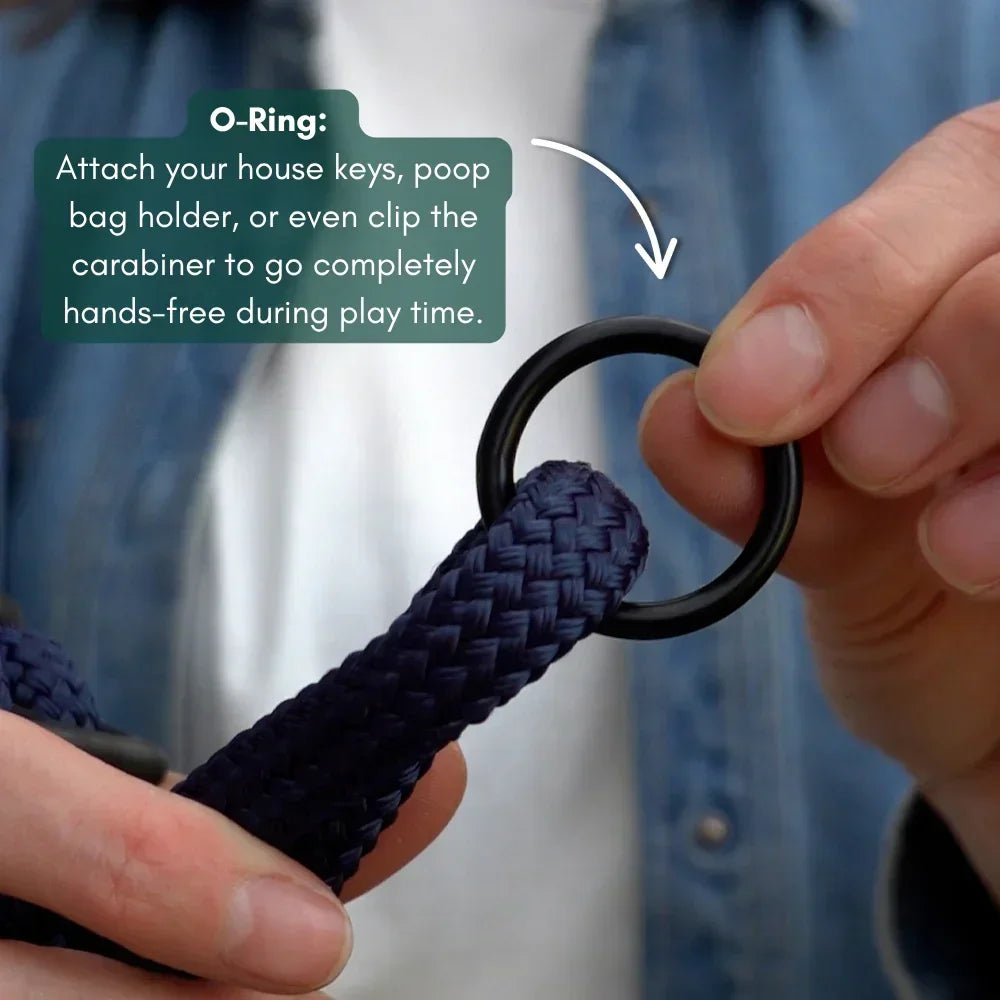 Person holding a blue hands-free dog lead with an O-ring, demonstrating its use for attaching keys or a carabiner.