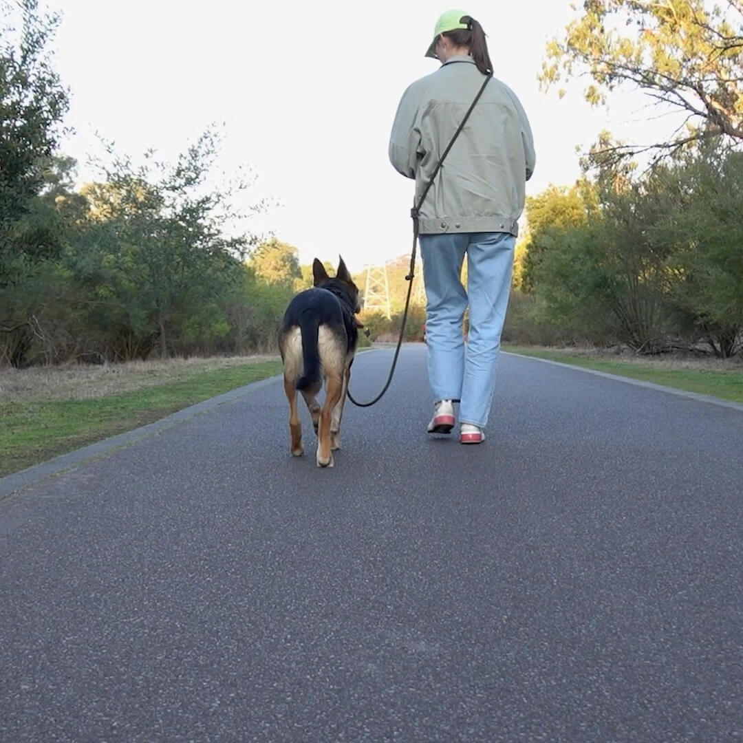 wearing hands-free leash over the shoulder