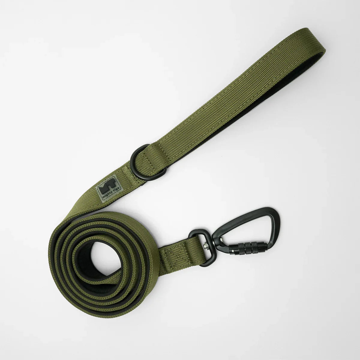 dog lead with soft padded handle rolled up on a white background