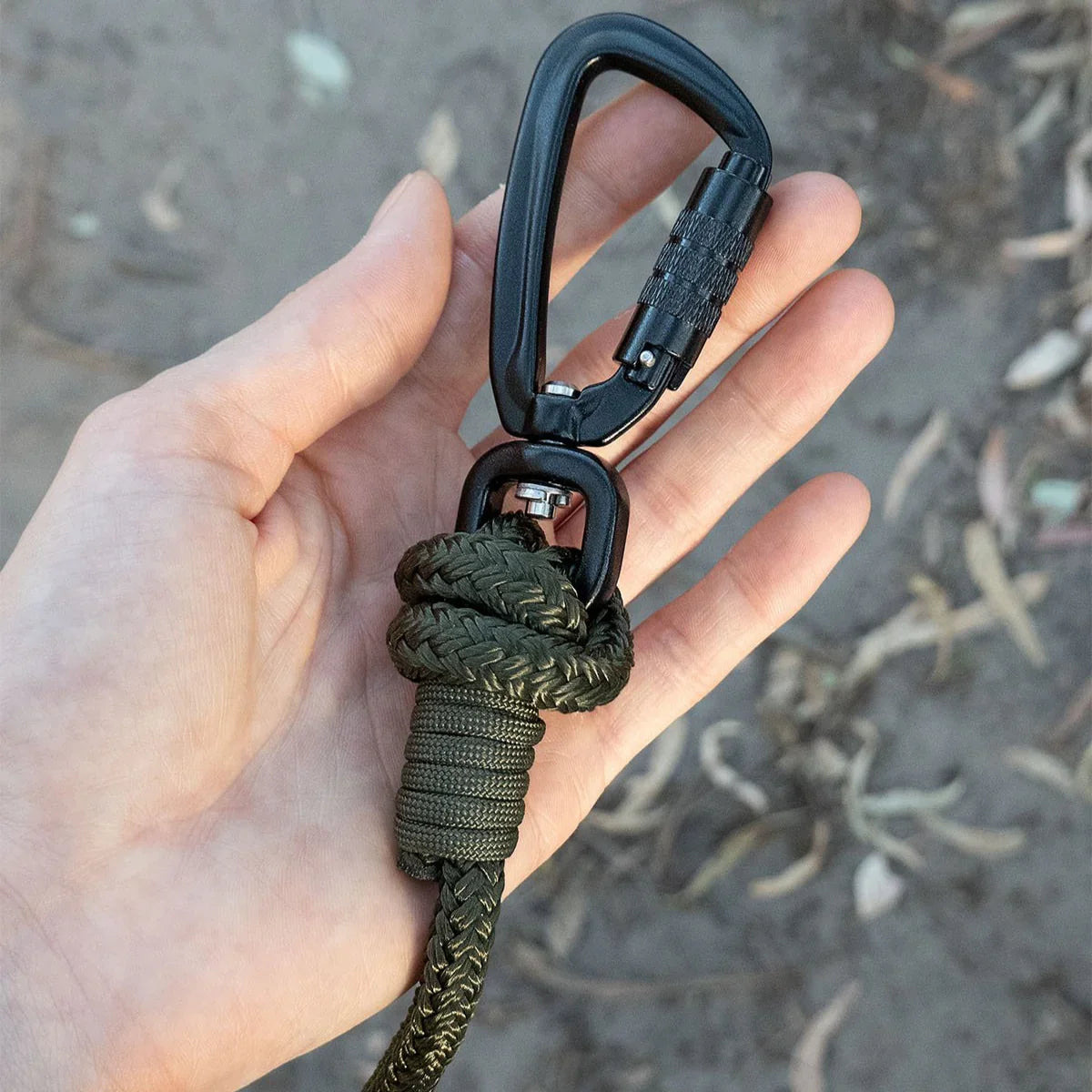 Close-up of black swivel carabiner from army green long line training leash, held in a person's hand