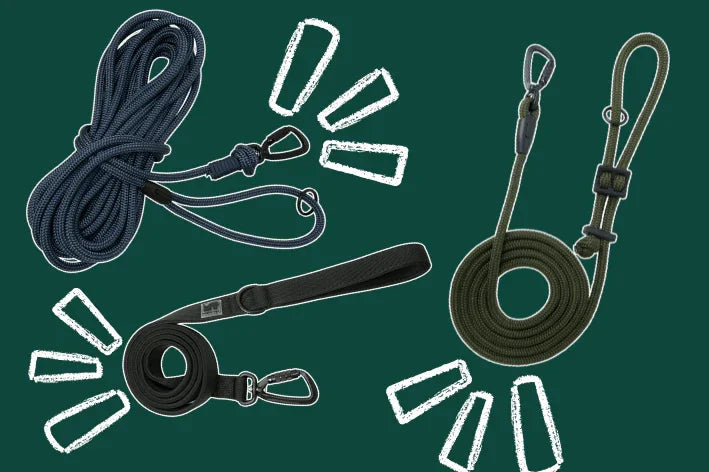 Mighty Tiga dog leashes displayed on a green background