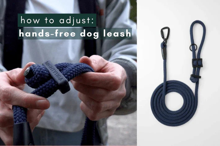 how to adjust handsfree dog leash
