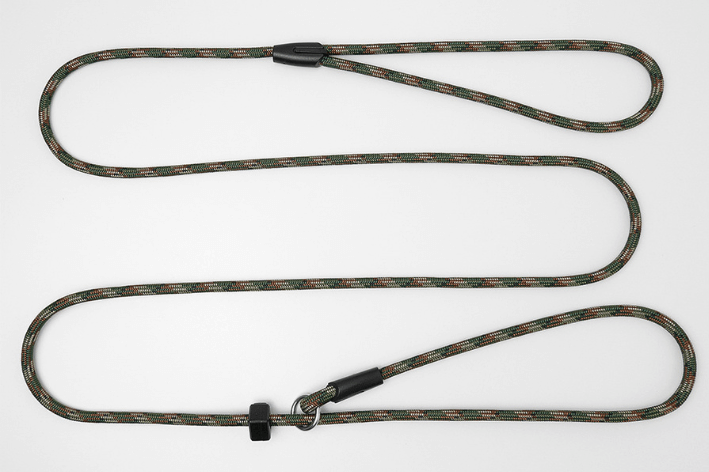 How To Use A Slip Leash Properly