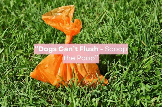 Dog poop bag on grass with public awareness message about cleaning up after pets: 'Dogs can't flush. Scoop the poop