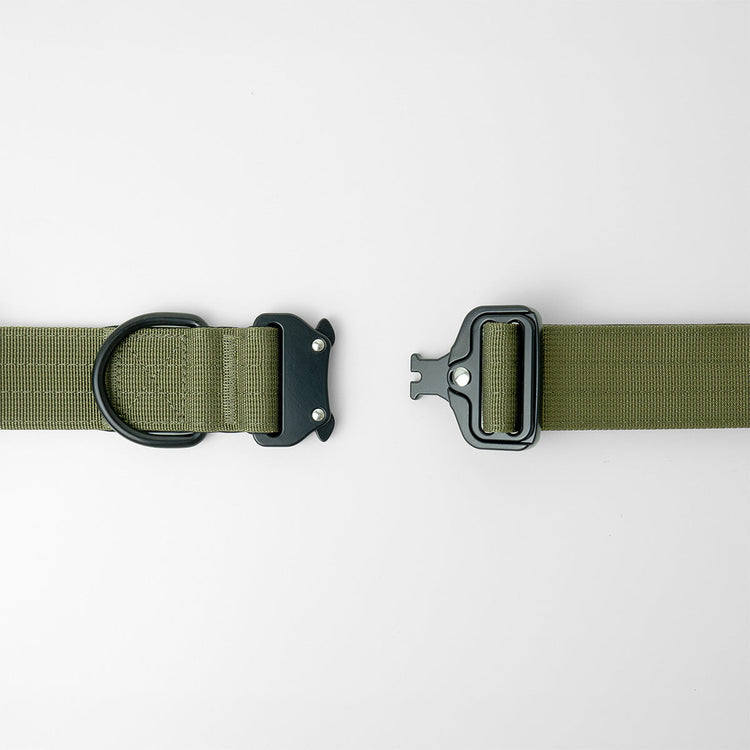 tactical dog collar 1.5 inch wide colour navy green