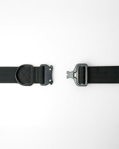 tactical 1.5 inch dog collar showing close up of D-ring and buckle