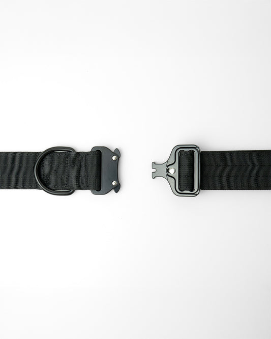 tactical 1.5 inch dog collar showing close up of D-ring and buckle