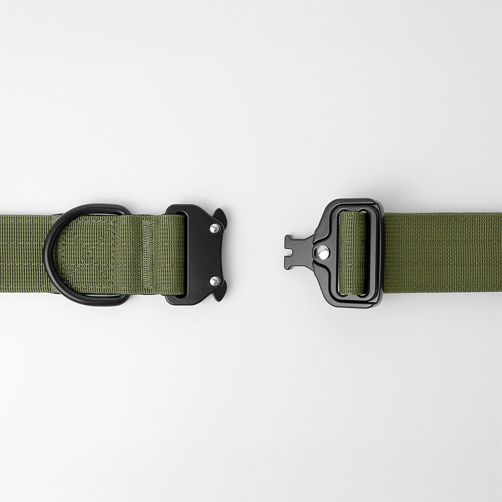 1.5 inch tactical collar - army green - close up of buckle and D-ring