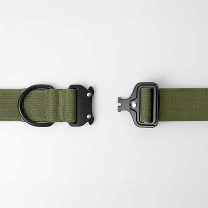 1.5 inch tactical collar - army green - close up of buckle and D-ring