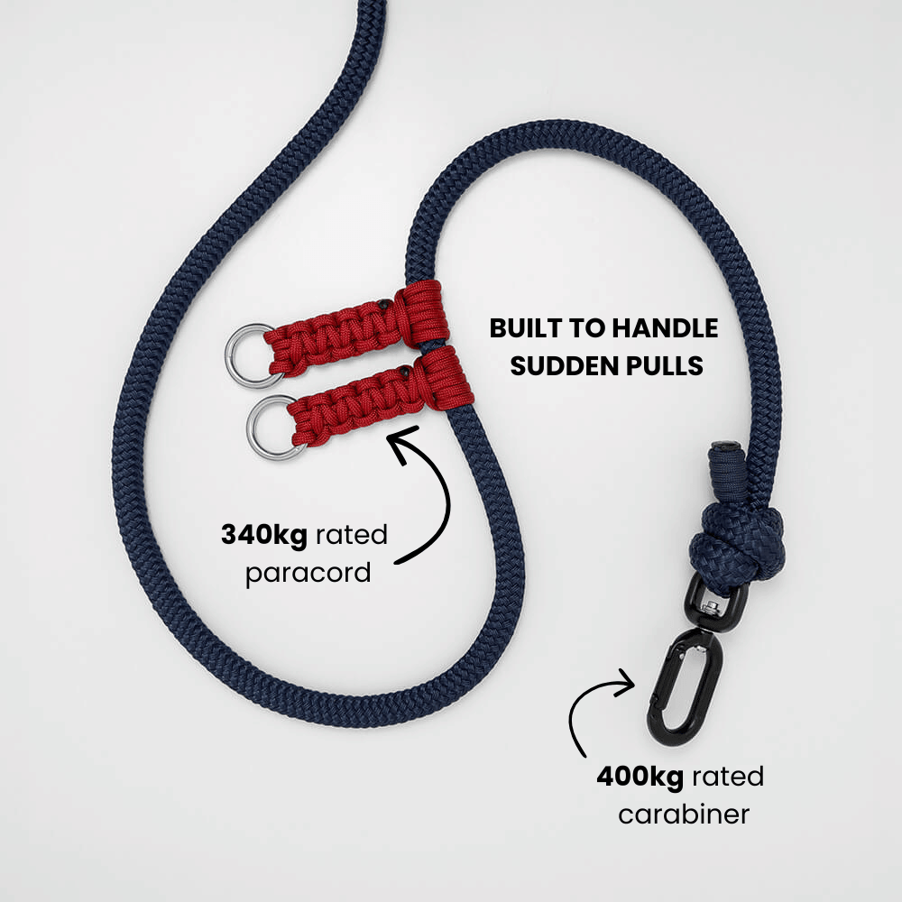A dark navy blue rope dog lead with red paracord knots and swivel carabiner hardware, shown on a light gray background with text callouts highlighting strength ratings and load-bearing points. showing it's a dog lead thats made to handle sudden pulls