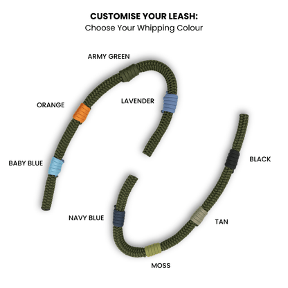 10m Long Dog Lead