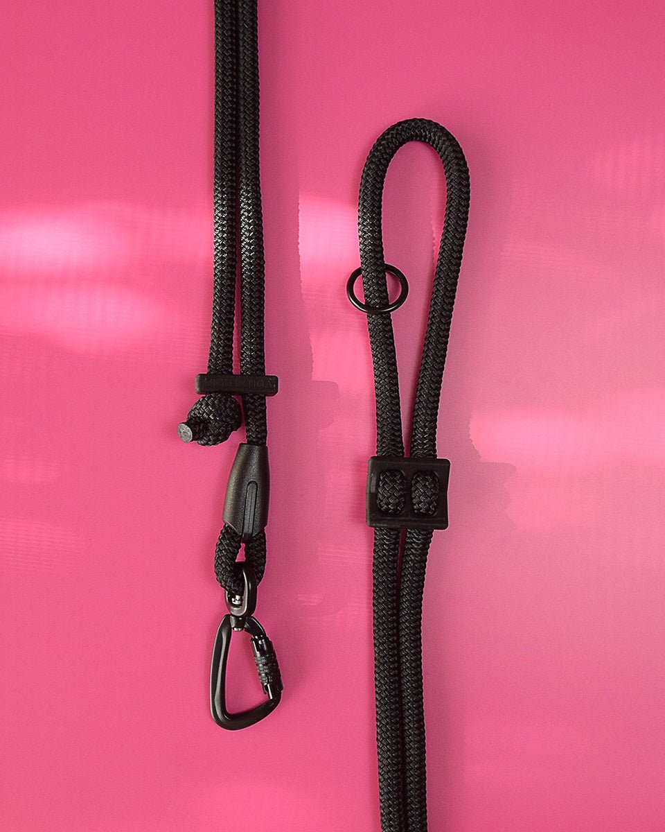 handsfree dog leash - rope dog leash 