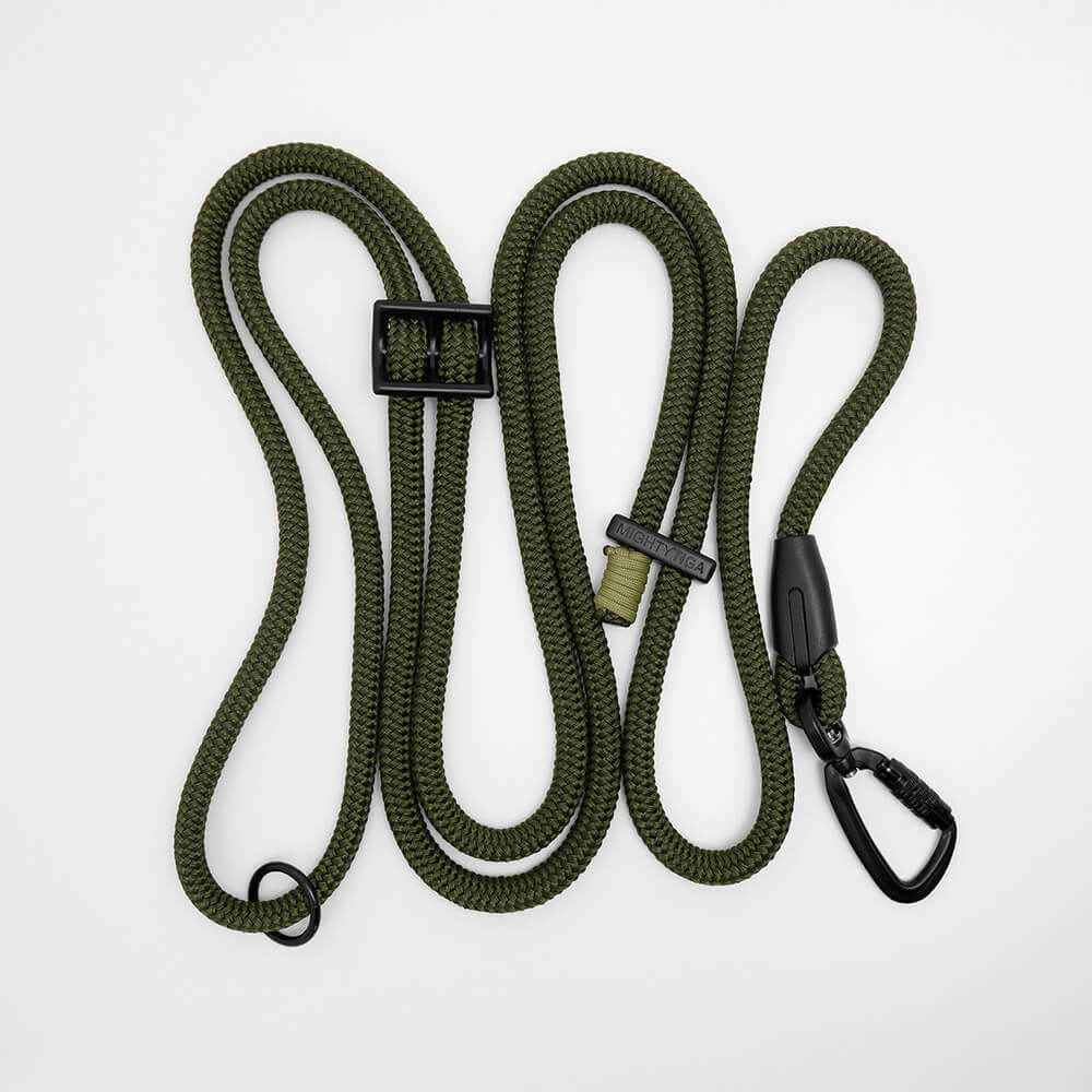 Green hands free dog leash coiled, showing adjustable rope lead with carabiner and whipping detail