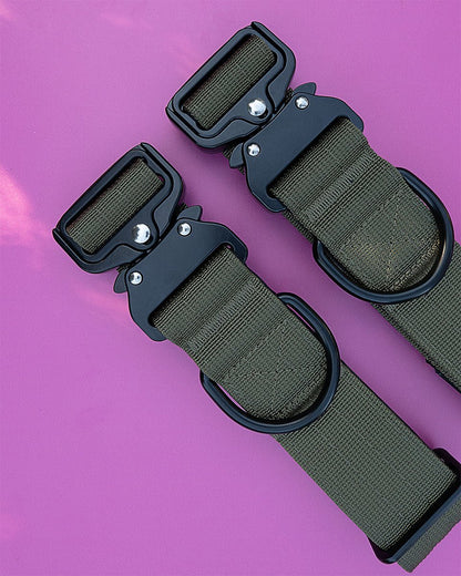 Pair of army green tactical dog collars for medium and large dogs, displayed on vibrant pink background
