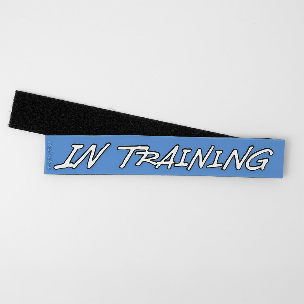 in training PVC dog patch with hook and loop
