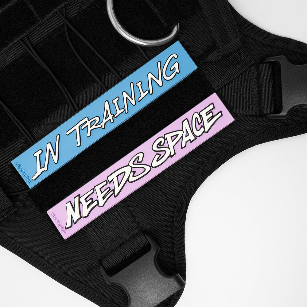 Black dog harness with 'IN TRAINING' and 'NEEDS SPACE' PVC patches on a white background