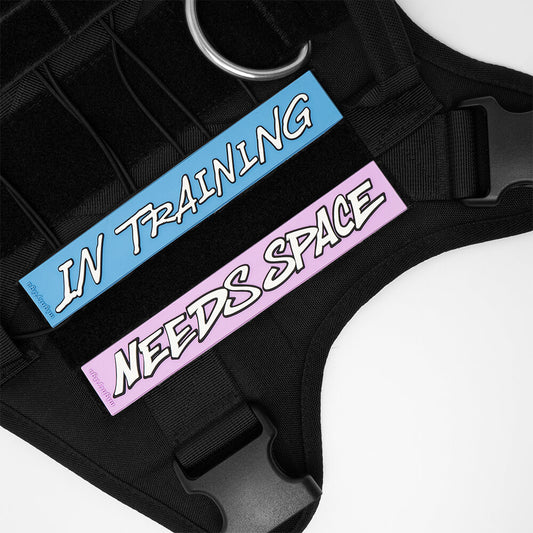 Black dog harness with 'IN TRAINING' and 'NEEDS SPACE' PVC patches on a white background