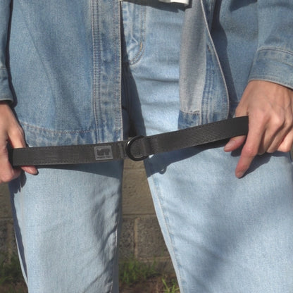 Regular Dog Leash