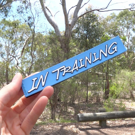 in training PVC dog patch with hook and loop