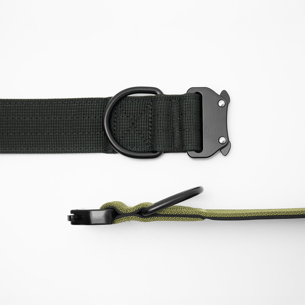 heavy duty dog collar showing how the D ring is reinforced