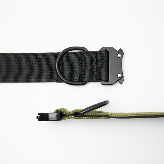 heavy duty dog collar showing how the D ring is reinforced