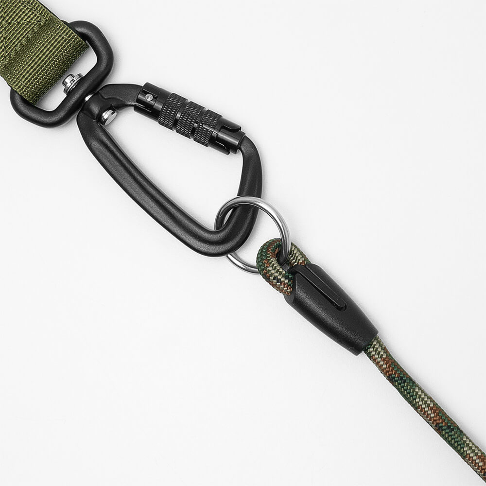 slip collar attached to regular dog leash