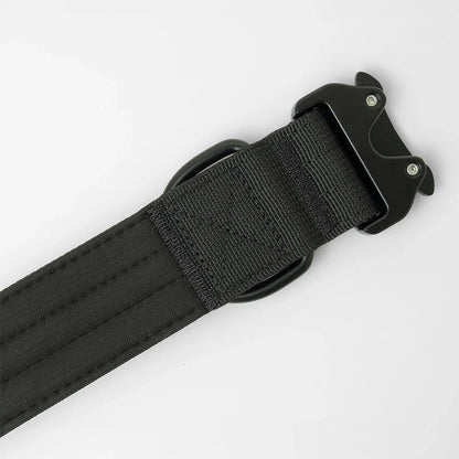 tactical 1.5 inch dog collar showing soft neoprene padding