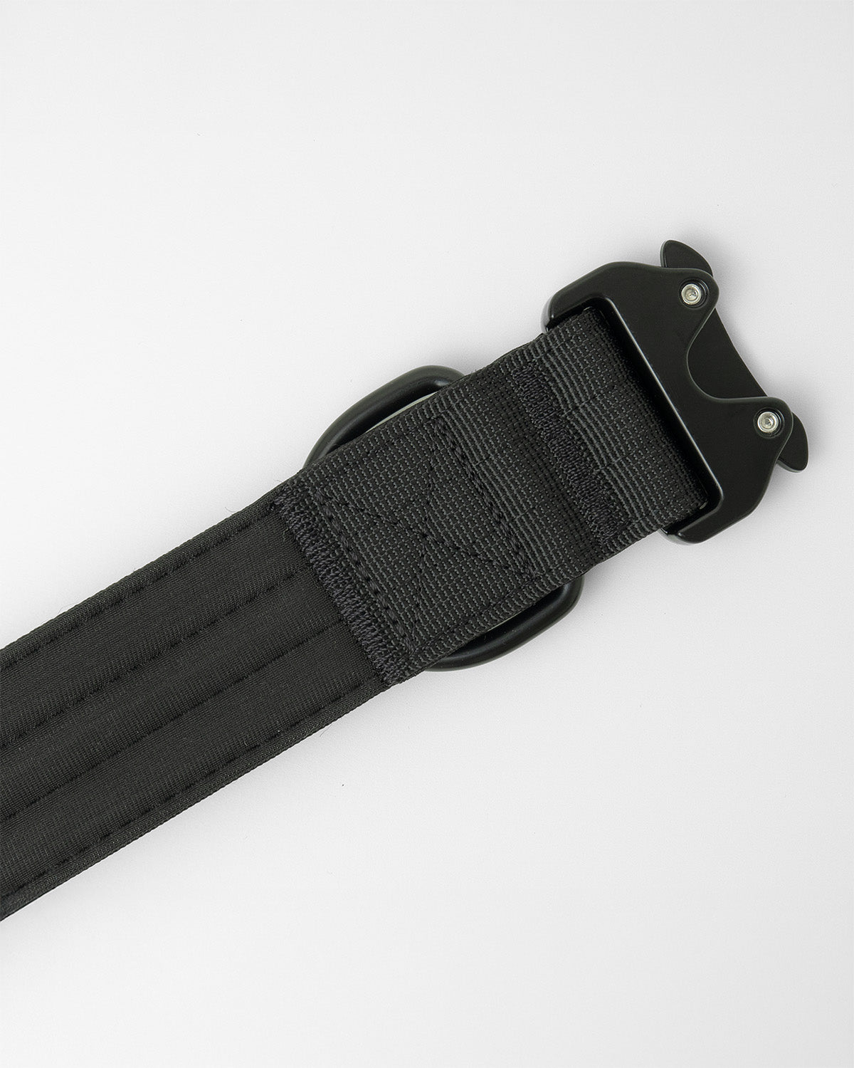 tactical 1.5 inch dog collar showing soft neoprene padding