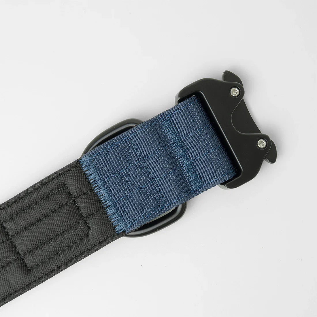 inside of tactical dog collar showing the black neoprene padding