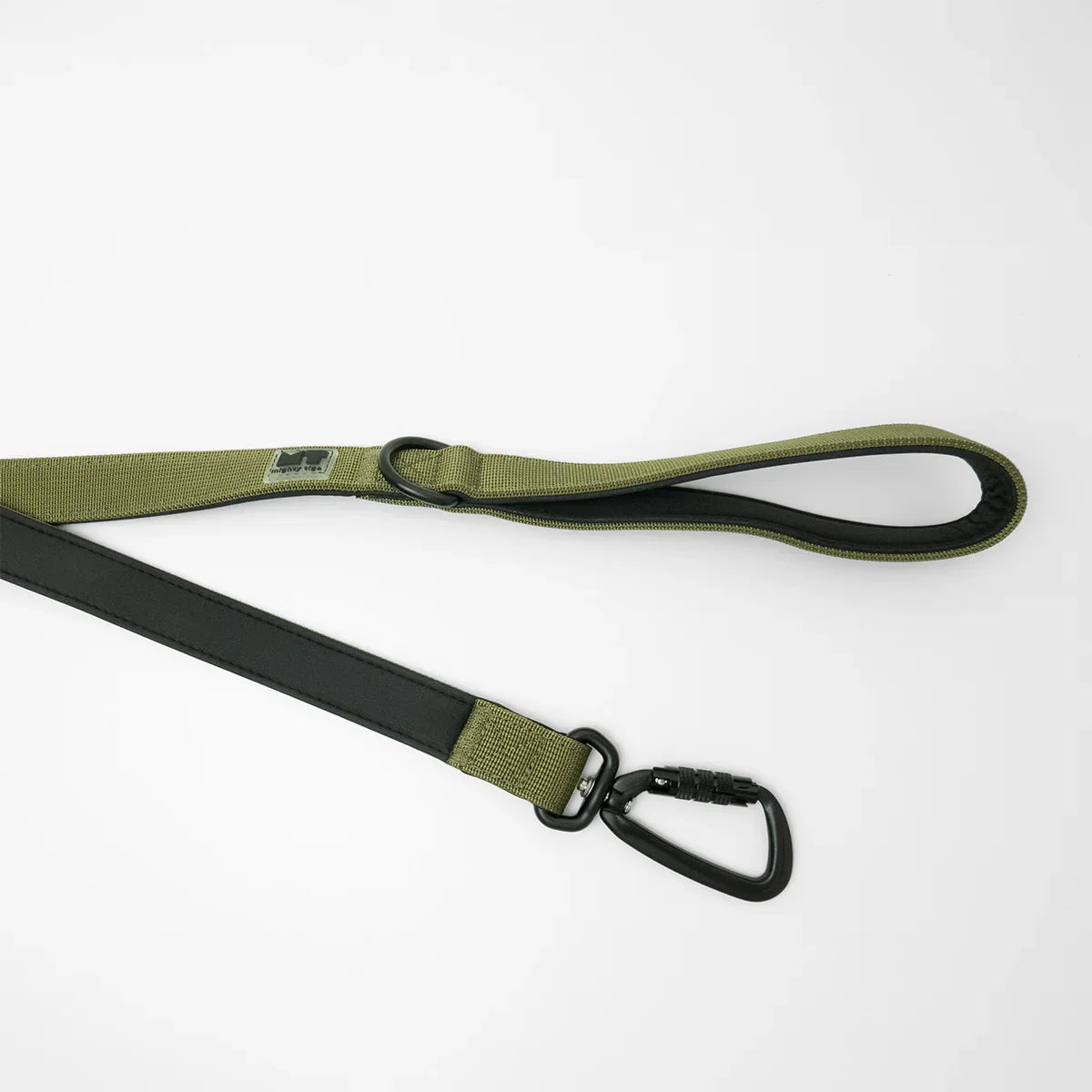 Regular Dog Leash