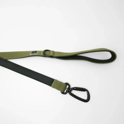 Regular Dog Leash