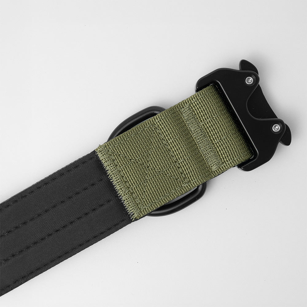 army green wide dog collar with neoprene padding