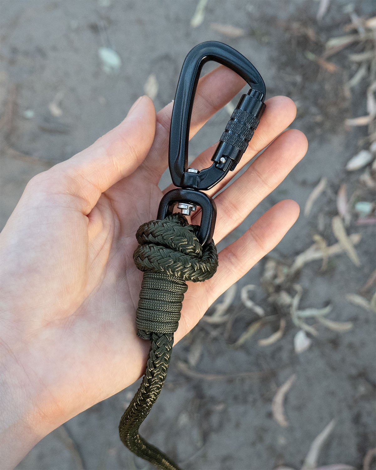 Close-up of black swivel carabiner from  army green long line training leash, held in a person's hand