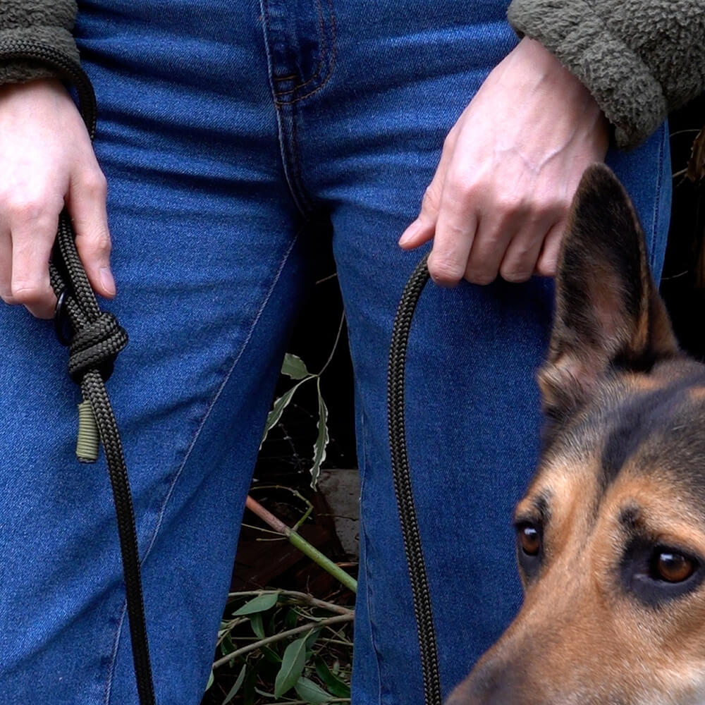 swivel slip lead on dog in colour army green - slip collar for dog with swivel to ensure rope doesn't twist 